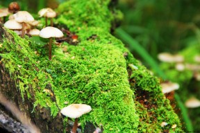 开云体育登录网站入口-体育传媒发展现状与传播力提升方案，体育传媒是干什么的