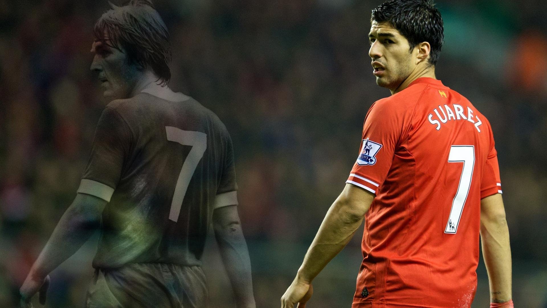 “萨尔·巴赫与南非羚羊队:一个不可忽视的联盟”