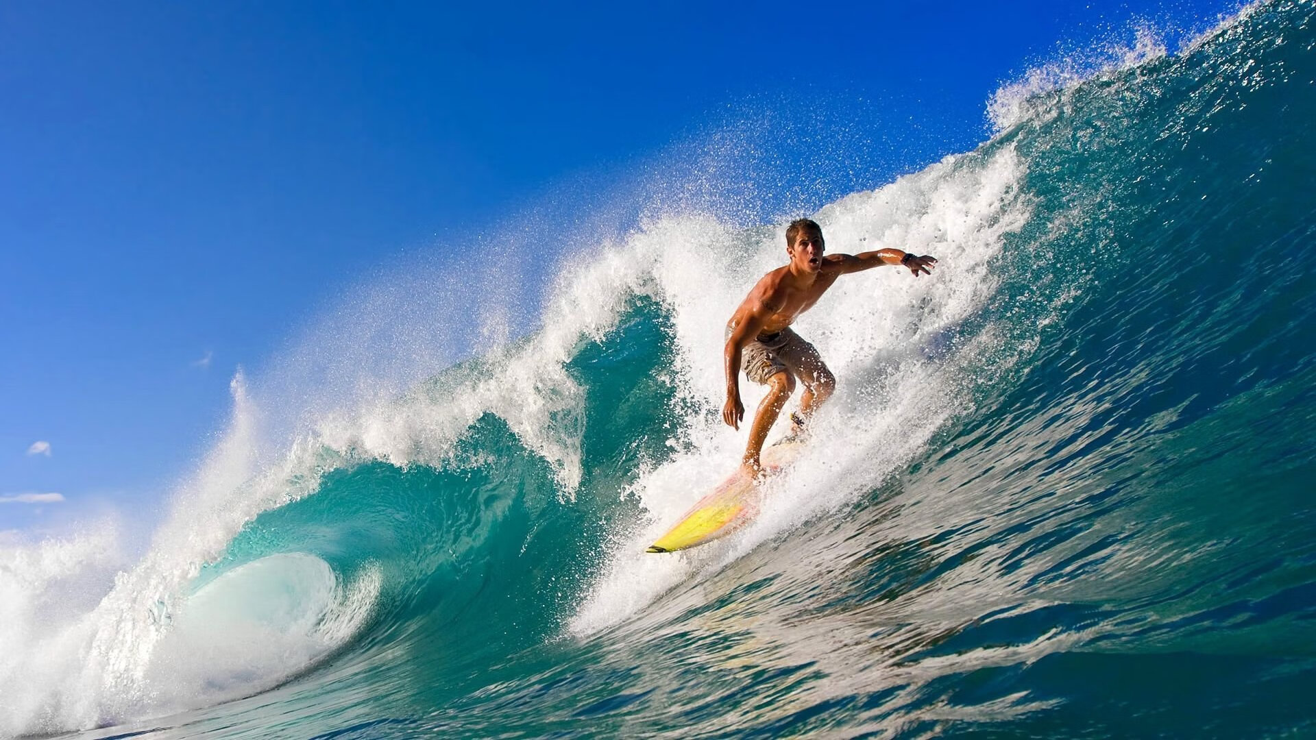 “萨尔·巴赫的背后故事:从草根到南非橄榄球明星”